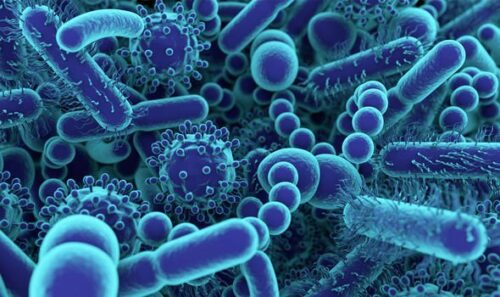 Coronavirus Covid-19 Corona Virus Protection Update. With the threat of Corona (Covid-19) Virus, Deep Cleaning, Sanitizing and Decontamination Is So Important