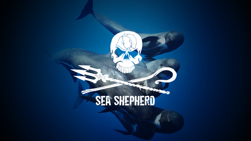 Sea-Shepherd-Logo.png